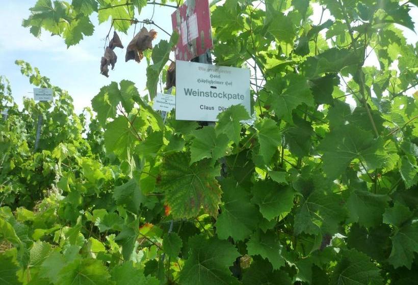 Biozertifiziertes Hotel Höpfigheimer Hof Mit Wein Shop