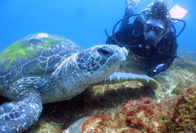 Отель Coolangatta Sands