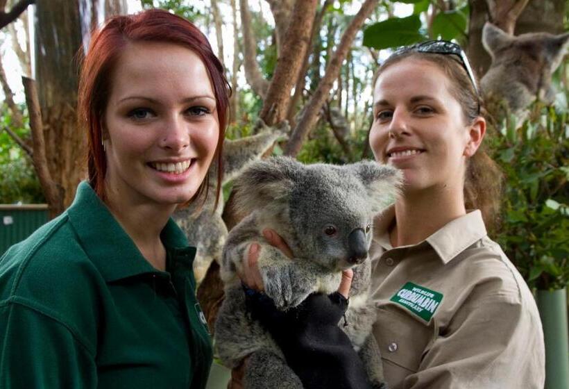 Отель Coolangatta Sands