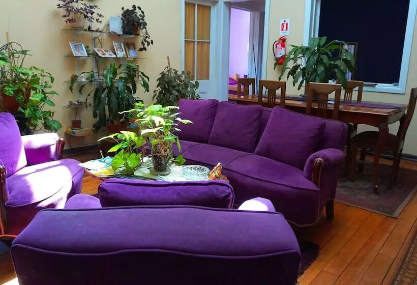 هتل Hospedaje Florencia   Hostel