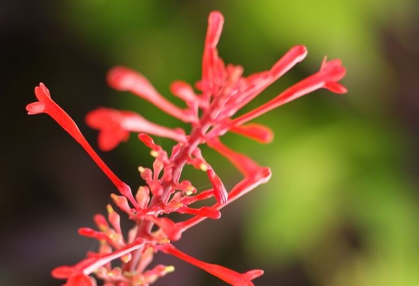 酒店 Ocean Imperium