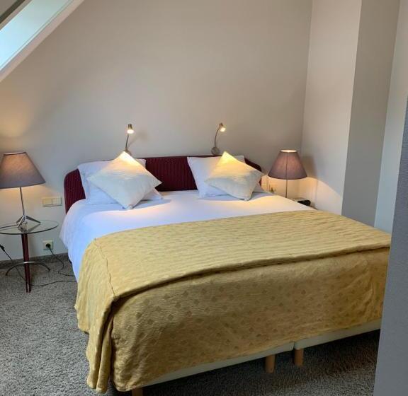 هتل Prins Boudewijn