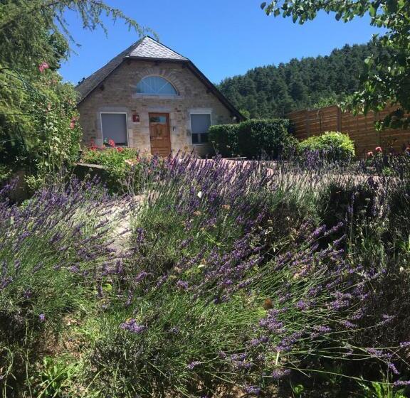 ホテル Hôtel & Spa Rodier