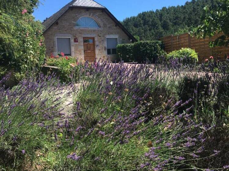 ホテル Hôtel & Spa Rodier