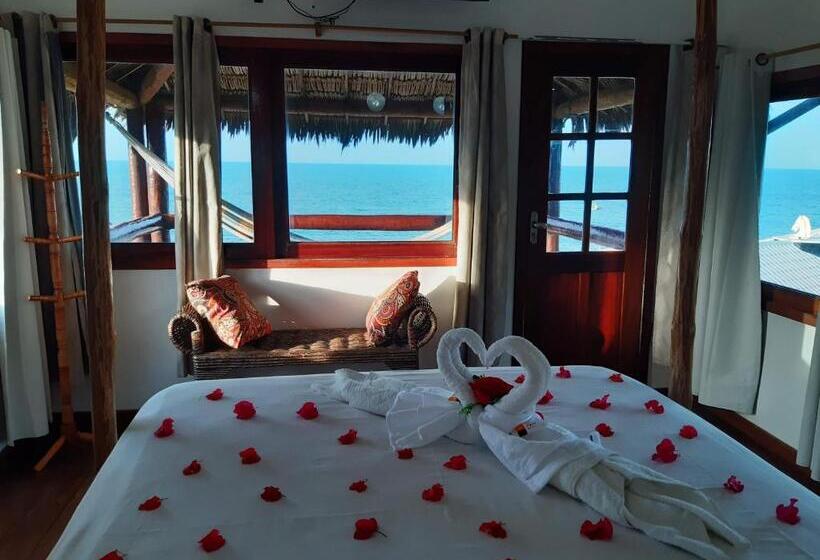 فندق Pousada Terra Nova