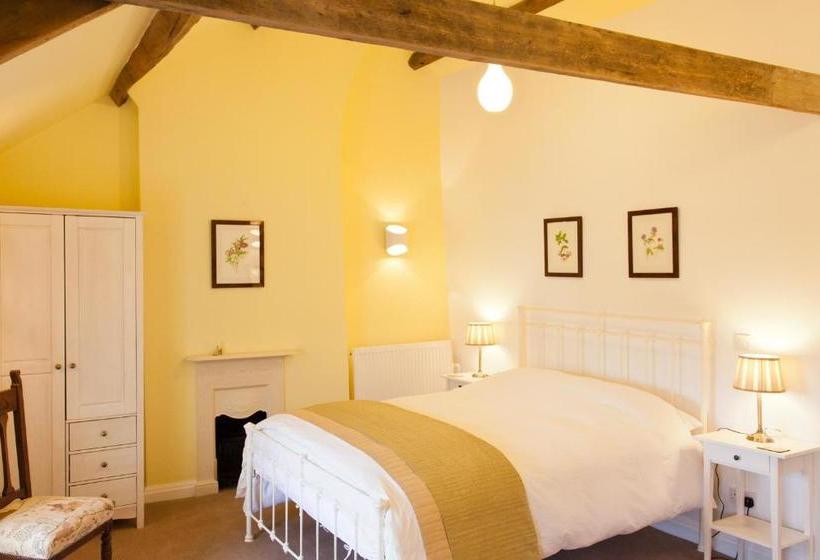 Belmont Bed And Breakfast