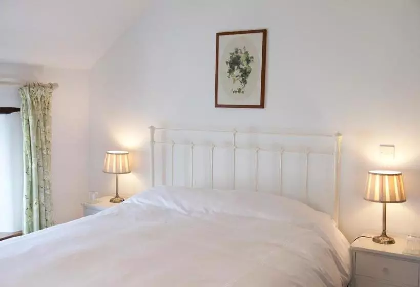 Belmont Bed And Breakfast