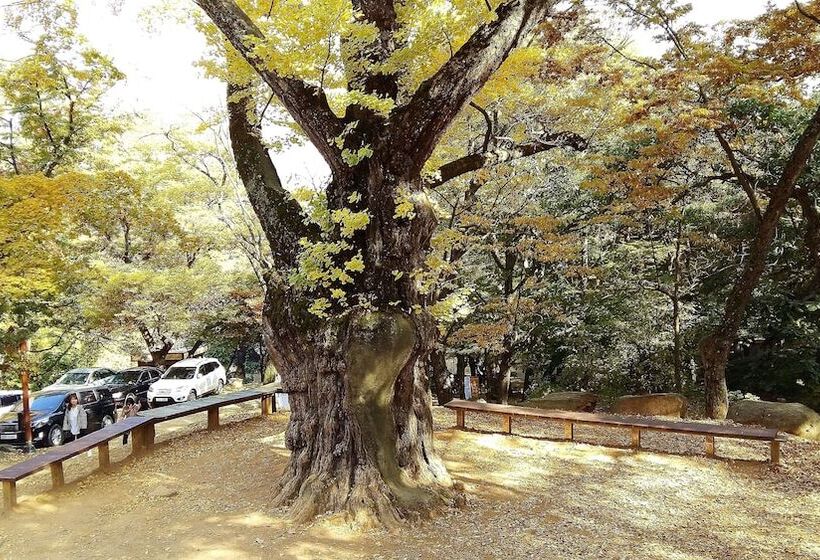 호스텔 Good Moments Sharehouse