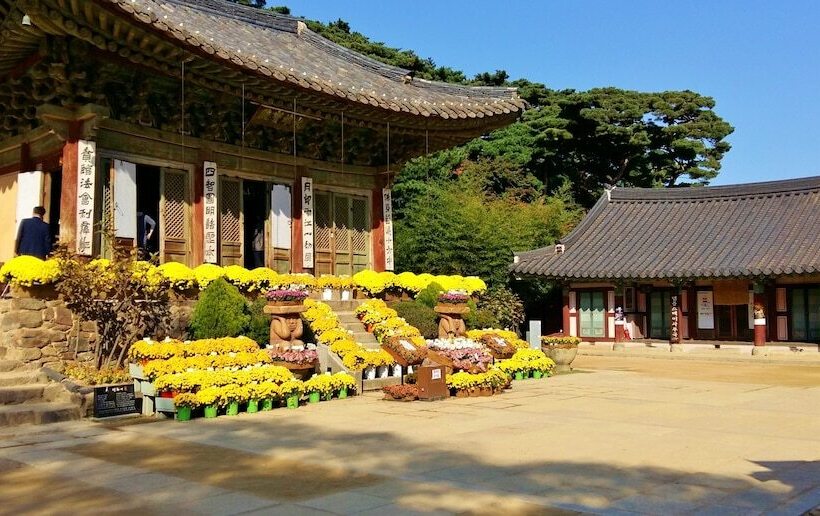 호스텔 Good Moments Sharehouse