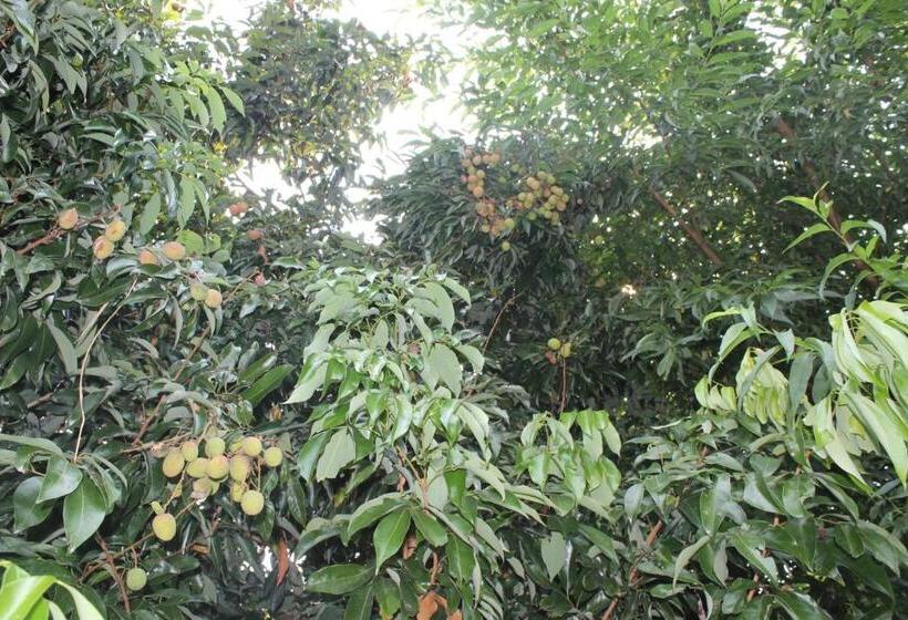 هتل Fishtail Villa