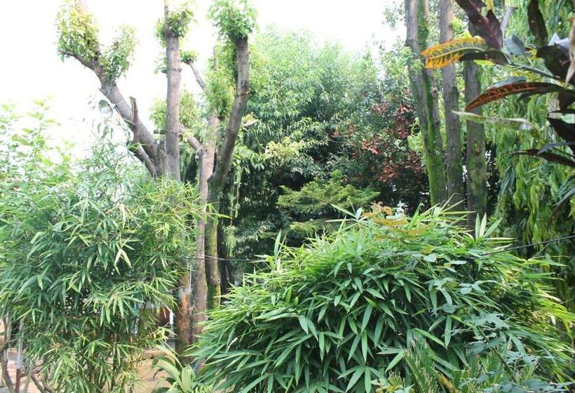 هتل Fishtail Villa