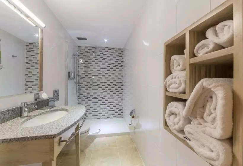 ホテル Hampton By Hilton Iasi