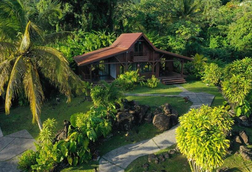 هتل Jardin Malanga