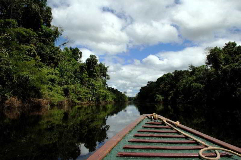 Hotel Pacaya Samiria Amazon Lodge
