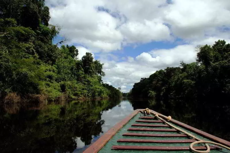 هتل Pacaya Samiria Amazon Lodge