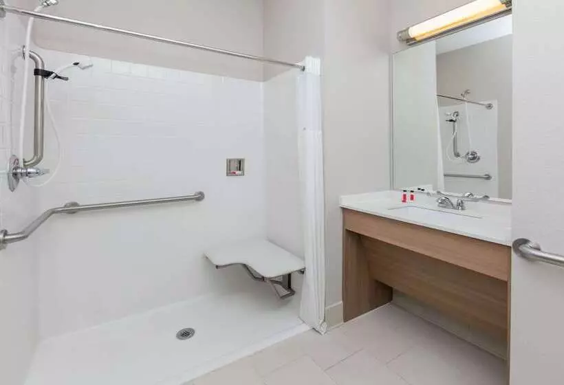 Microtel Inn And Suites By Wyndham Monahans