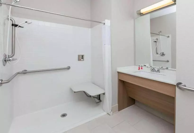 Microtel Inn And Suites By Wyndham Monahans
