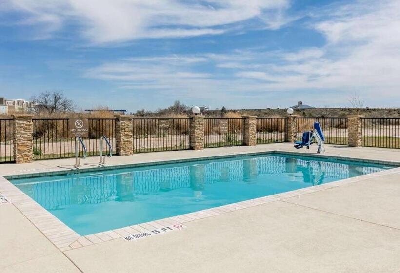 Microtel Inn And Suites By Wyndham Monahans