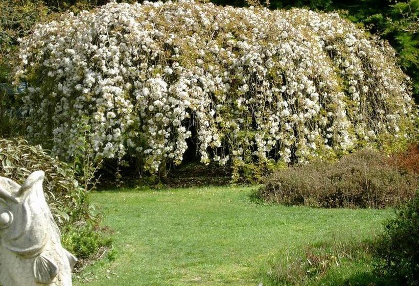 Aultmore Hollow Bed & Breakfast