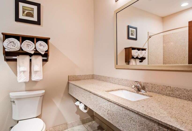 Best Western Plus Denver City Hotel & Suites