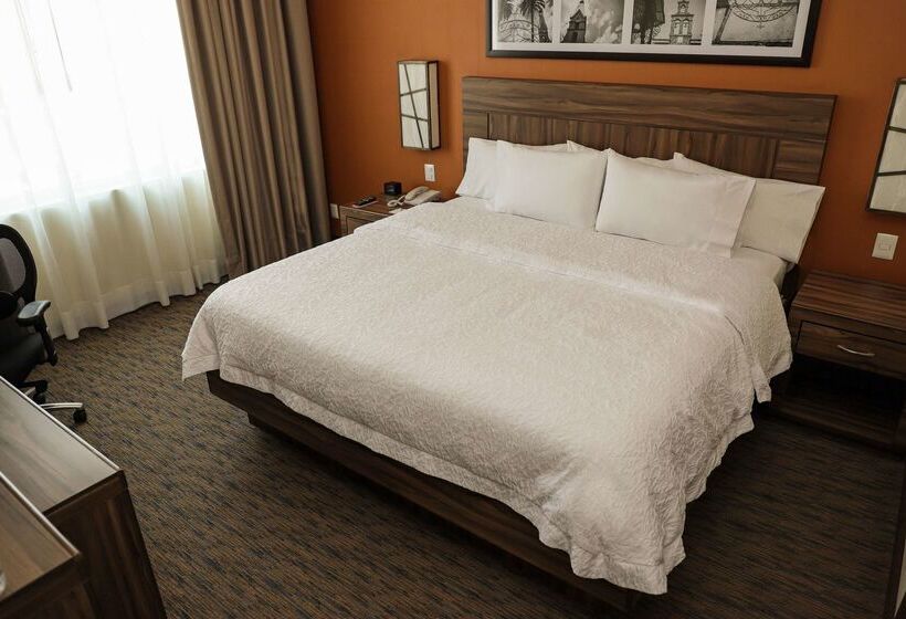 هتل Hampton Inn By Hilton Irapuato