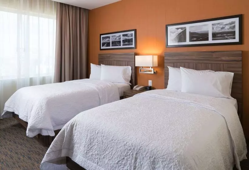 ホテル Hampton Inn By Hilton Irapuato