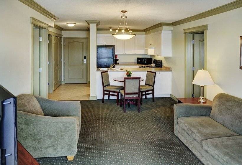 호텔 Nova Inn Edson