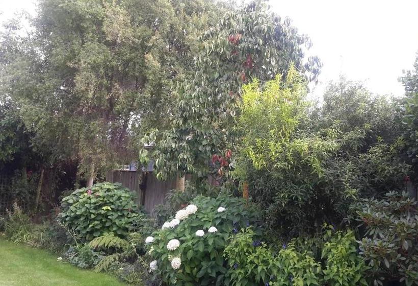 Jade Owl Bed And Breakfast