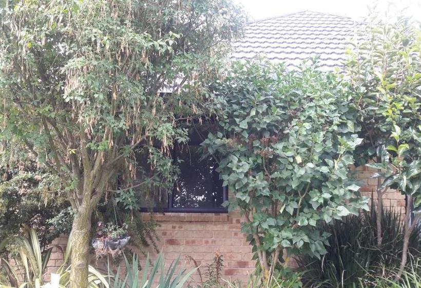 Jade Owl Bed And Breakfast