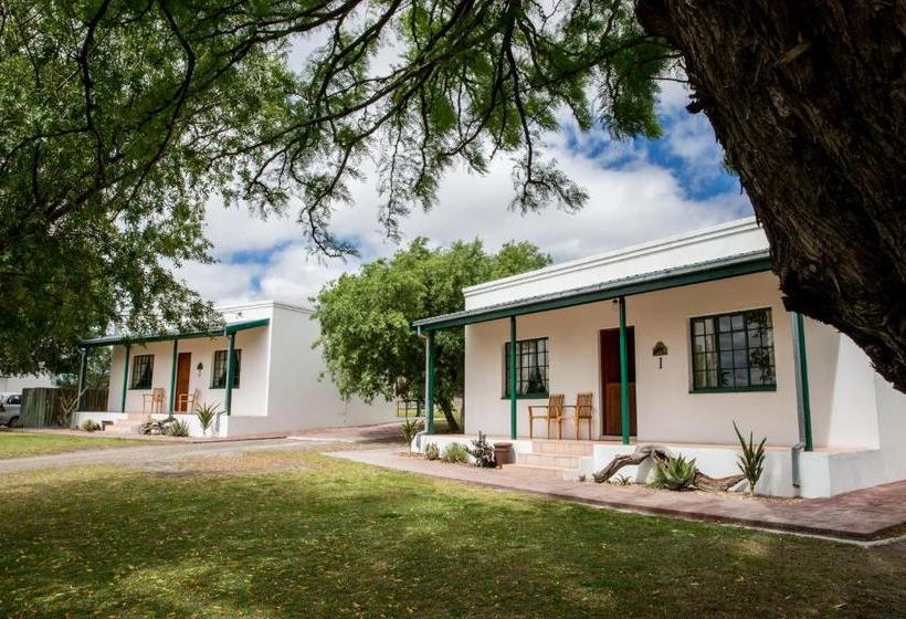 Olive Grove Guest Farm