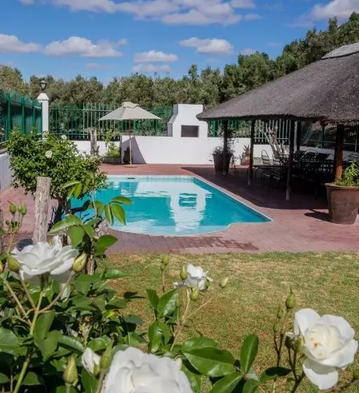 Olive Grove Guest Farm