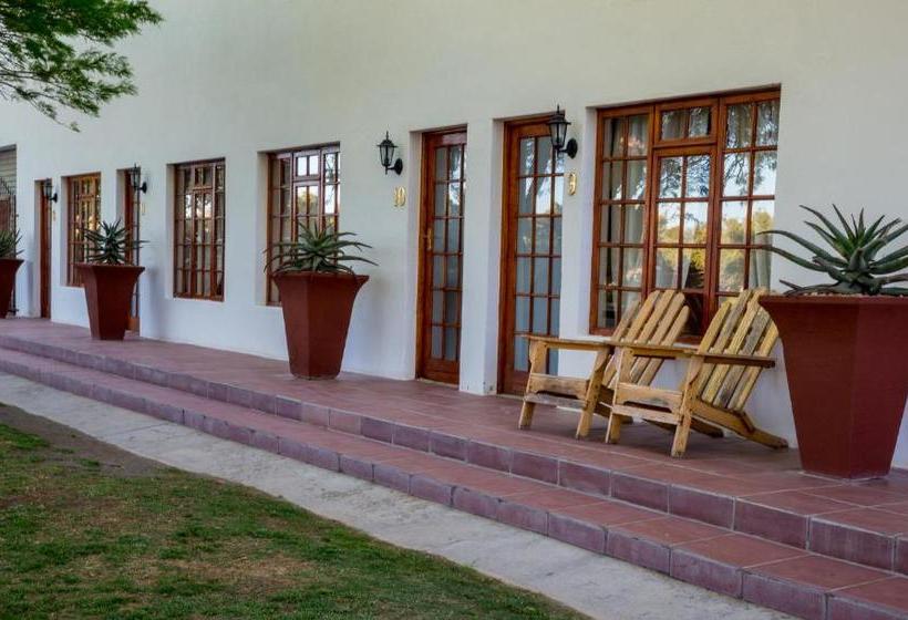 Olive Grove Guest Farm