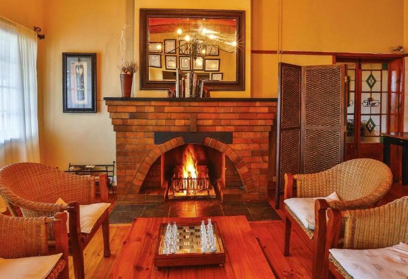 Olive Grove Guest Farm