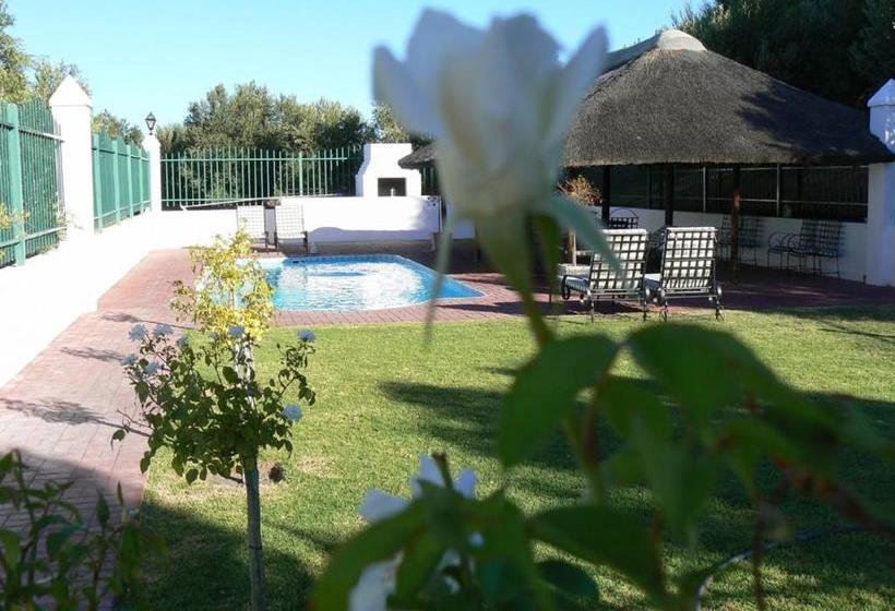 Olive Grove Guest Farm