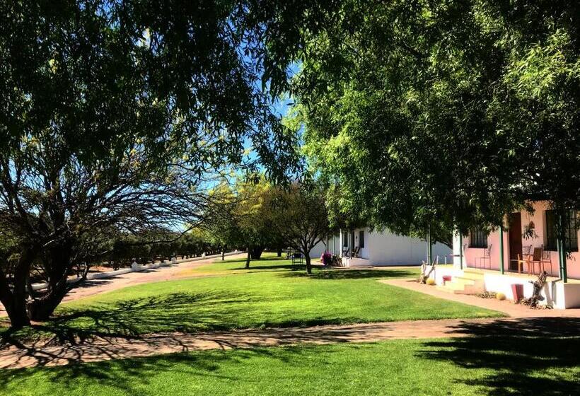 Olive Grove Guest Farm