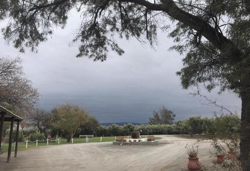 Olive Grove Guest Farm