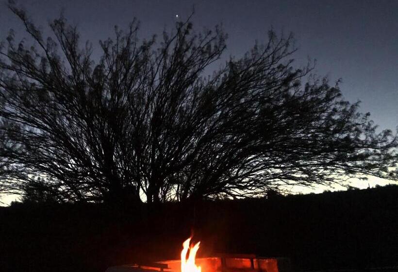 Olive Grove Guest Farm