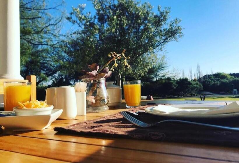 Olive Grove Guest Farm