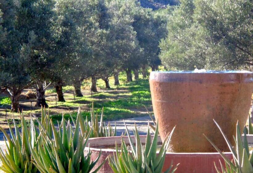 Olive Grove Guest Farm