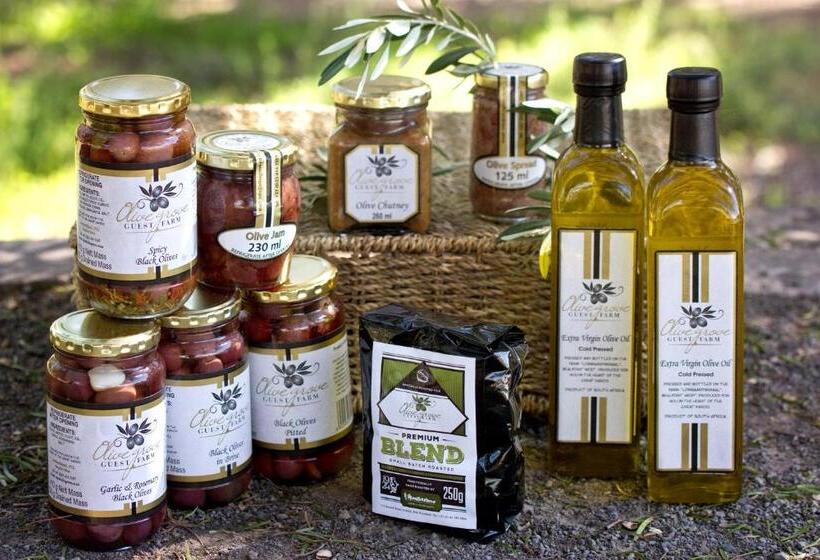 Olive Grove Guest Farm
