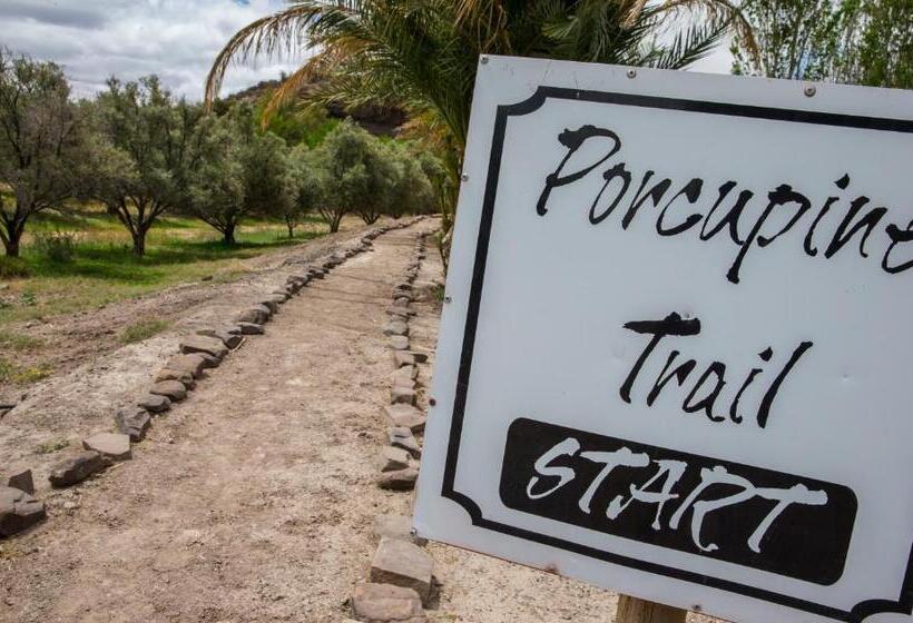 Olive Grove Guest Farm