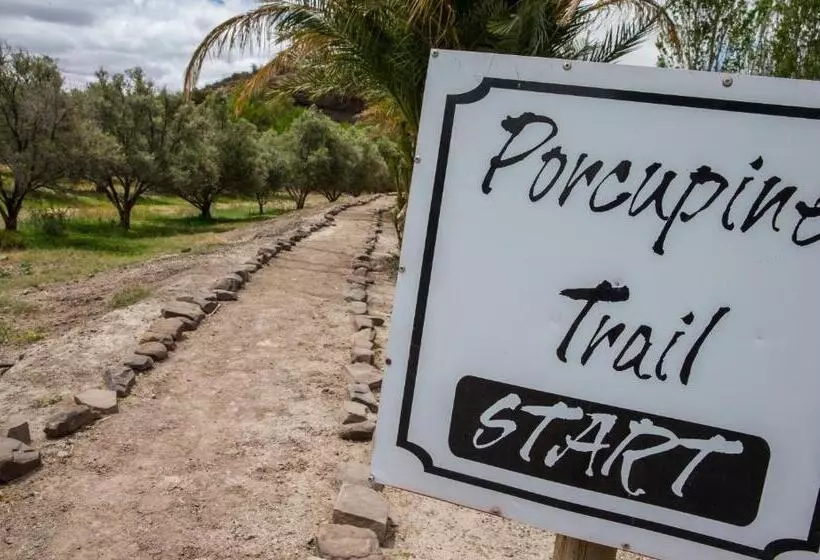 Olive Grove Guest Farm
