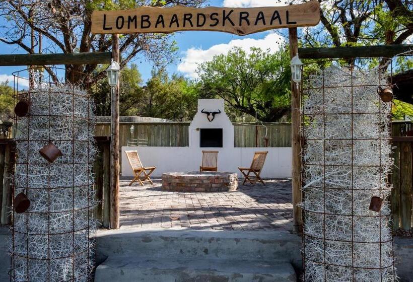 Olive Grove Guest Farm