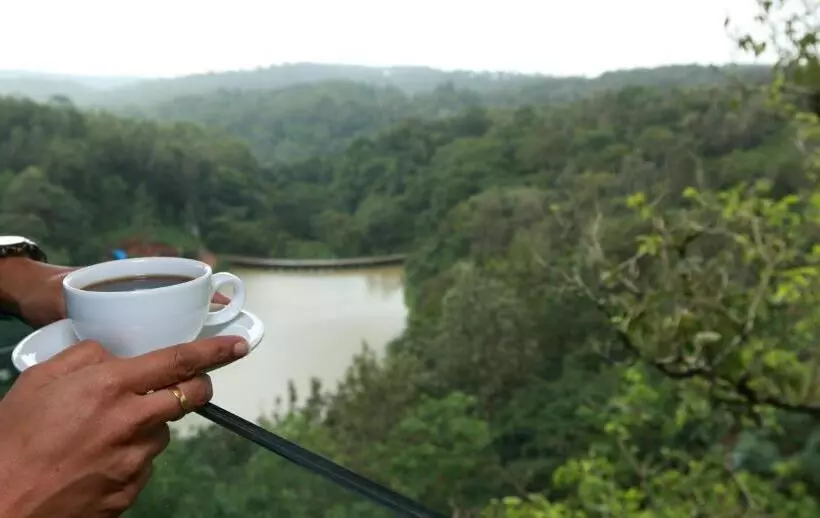 The Ibnii   Eco Luxury Resort