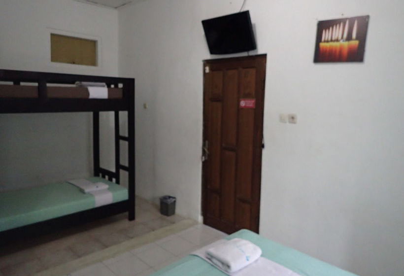 Palma Bed & Breakfast   Hostel