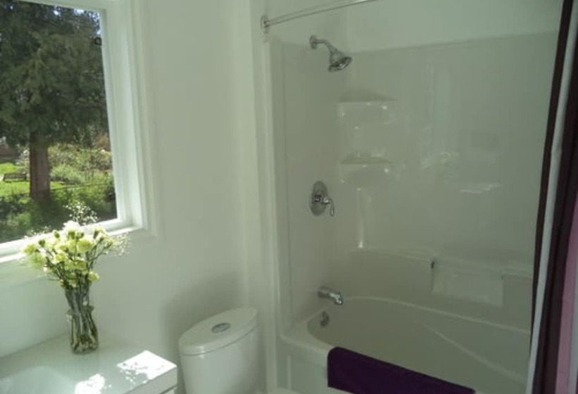 تختخواب و صبحانه Enchanted Rainforest Guesthouse