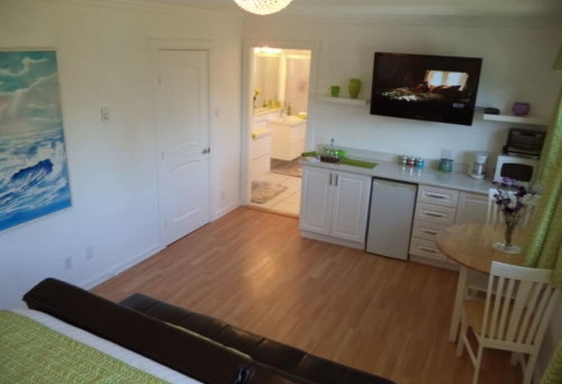 تختخواب و صبحانه Enchanted Rainforest Guesthouse