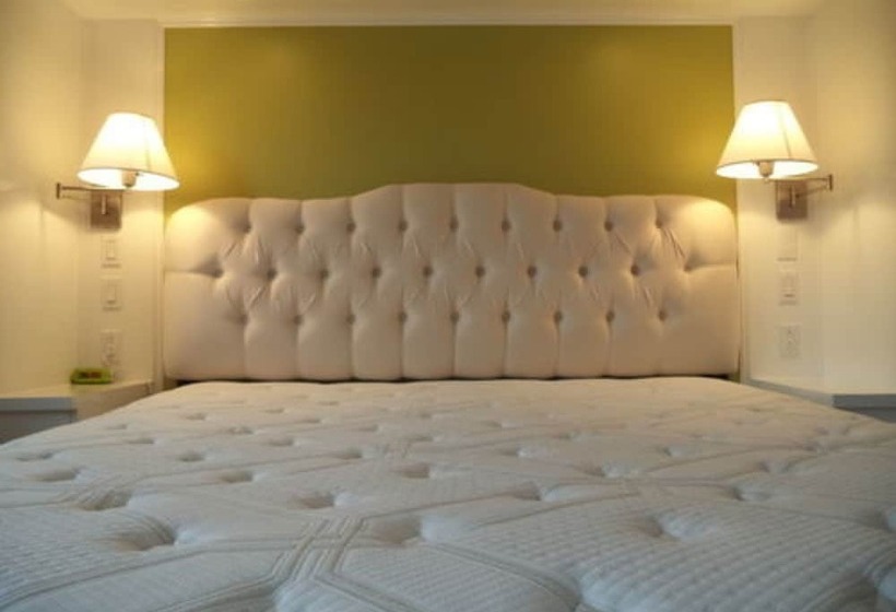 تختخواب و صبحانه Enchanted Rainforest Guesthouse