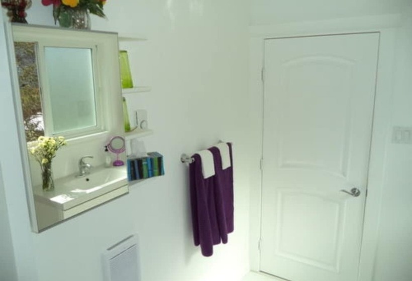 تختخواب و صبحانه Enchanted Rainforest Guesthouse