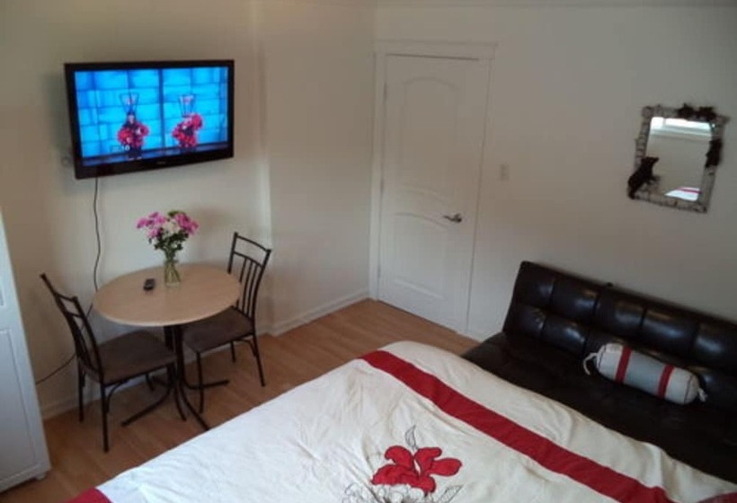 تختخواب و صبحانه Enchanted Rainforest Guesthouse